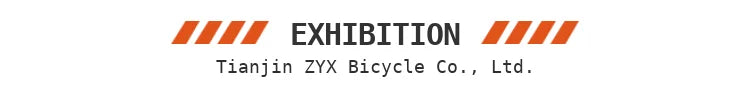 Off Road 29 Inch Large 1000W Dual Motor Electric Mountain Bike Full Suspension E Bike