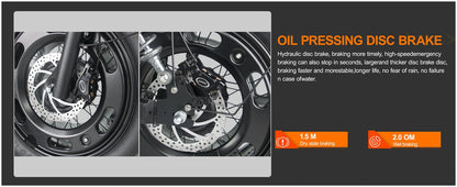 2500W Dual-Motor Electric Motorcycle 60V 40AH Battery, 120KM Range 20-inch Wide Tires with Hydraulic Brakes ebike